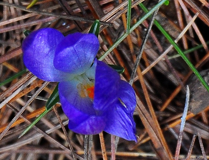 [DSC_0001%255B4%255D.jpg]