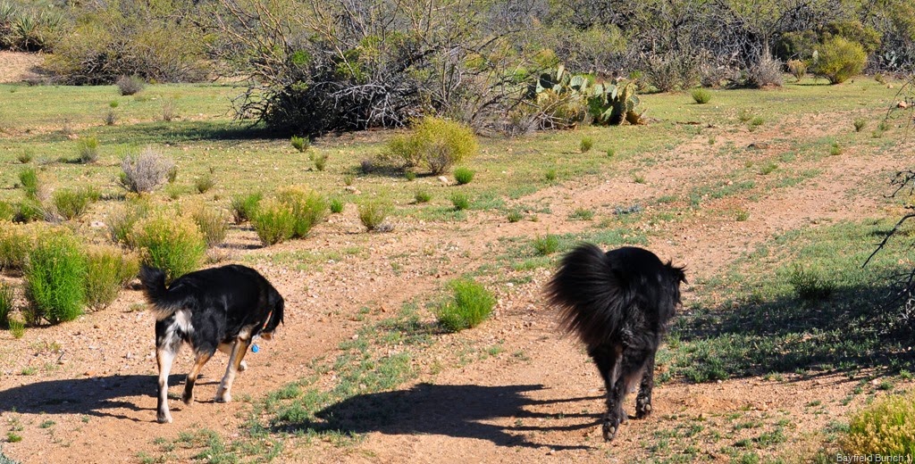 [DSC_0002%255B4%255D.jpg]