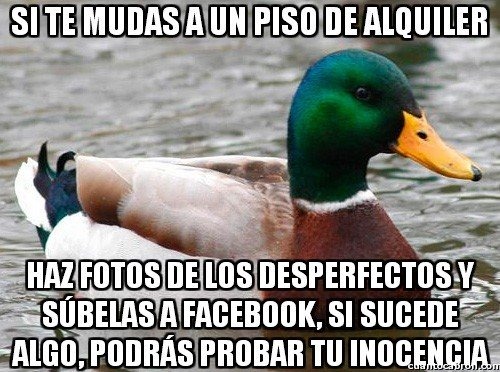 [2%2520patoconsejo%2520cosasdivertidas%2520info%2520%25289%2529%255B2%255D.jpg]