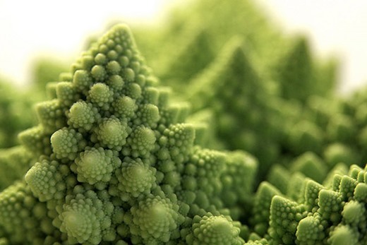 [clip_image002%255B3%255D.jpg]