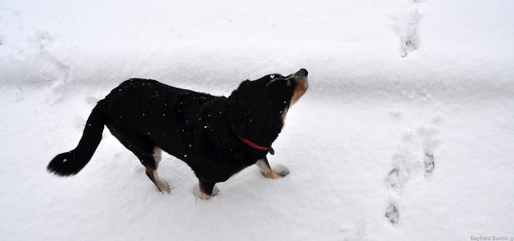 [DSC_0026%255B4%255D.jpg]