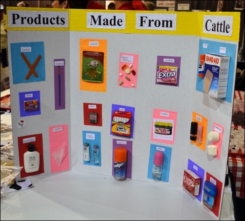 products from cattle