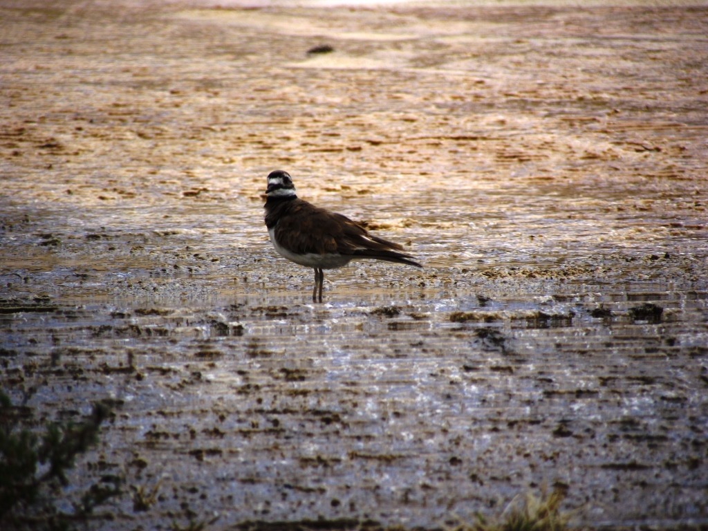 [DSCF9056%2520-%2520Kopie%255B1%255D.jpg]