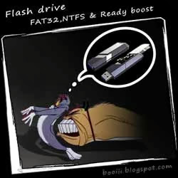 Flash drive(FAT32,NTFS) & Ready boost (Tom&Jery)