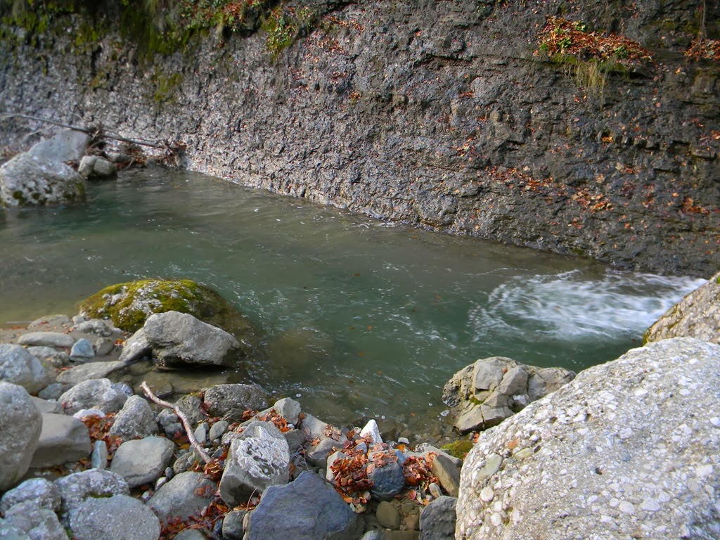 [DSCN74023.jpg]