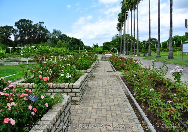 0134 - Glória Ishizaka - Jardim Botânico Nagai - Osaka