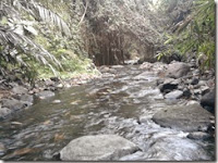 Menengok Desa Wisata Palgading