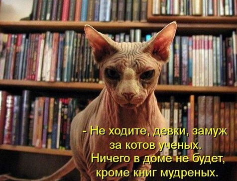 [kotomatrix_117%255B4%255D.jpg]