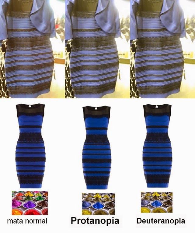 [dress_white-gold_and_blue-black_in_color-blinds_www.dadanpurnama%252Ccom_%255B5%255D.jpg]