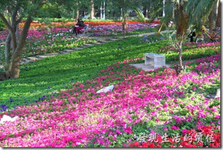 台南-2013台南公園百花祭64
