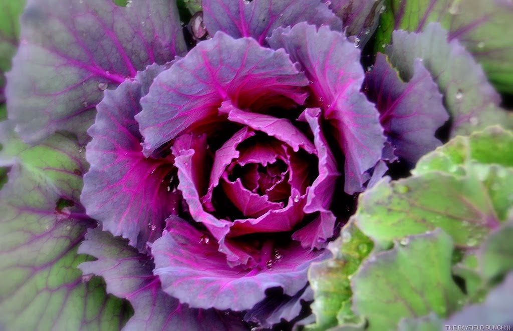 [DSC_0001%255B4%255D.jpg]