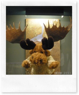 Natural History Museum - #6 - My What Big Horns 