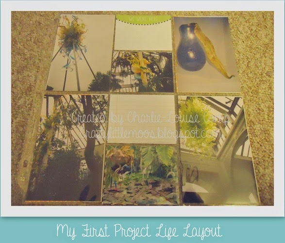 PROJECT LIFE5