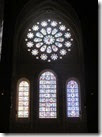 IMG_2313 IMG_2313