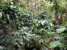 DSCN9143.JPG