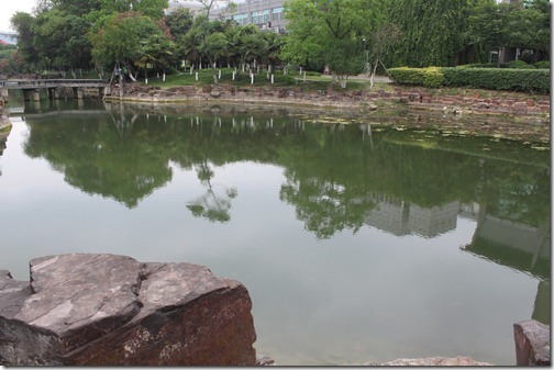昆山城市公園，這邊的池水基本上連接著縱橫的水陸溝渠，所以還不至於變成一攤死水，但今年雨水變少，有些部份甚至有乾涸的跡象。