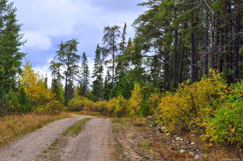 [DSC_0021%255B3%255D.jpg]