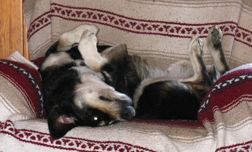 [IMG_3390%255B9%255D.jpg]