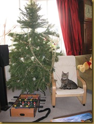 IMG_0520 Christmas Tree