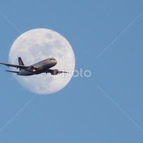 Gonna fly you to the moon and back... by Steve Cooke - Transportation Airplanes