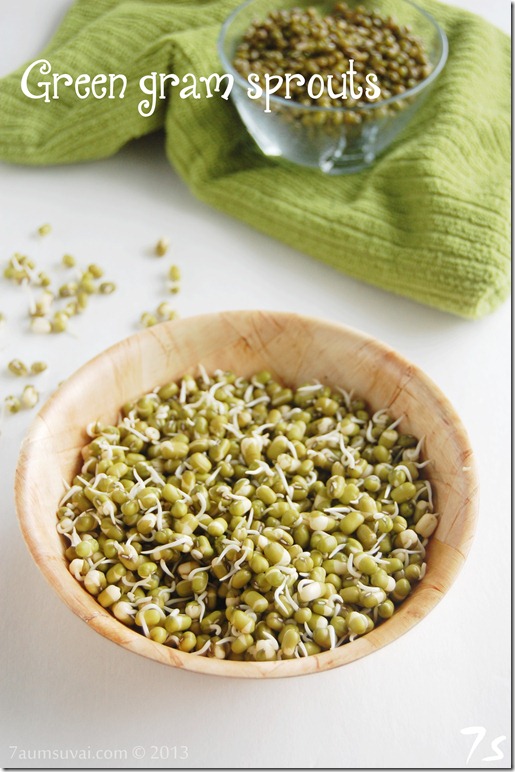 Homemade green gram sprouts