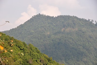 DSC_0659.JPG