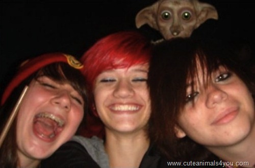 50_Funniest_Animal_Photobombs_Of_All_Time_34