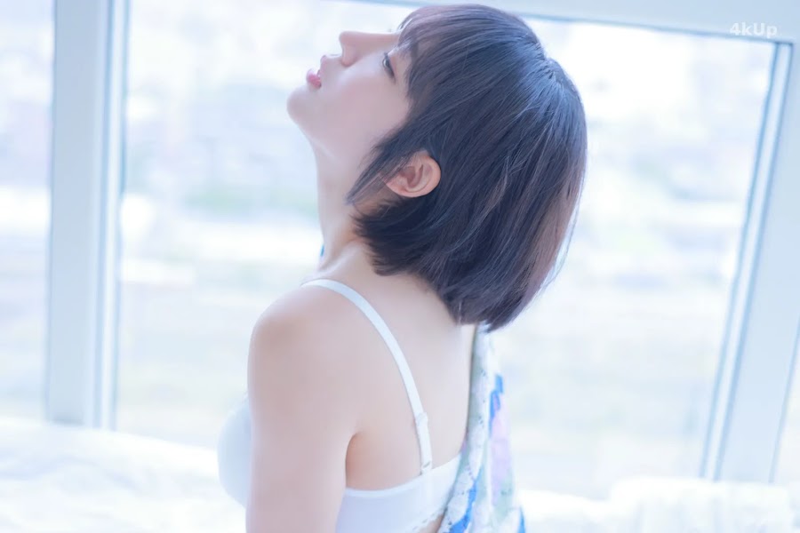 Korean Model Toriis