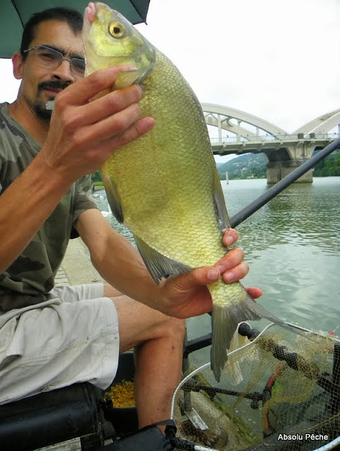 Pont de Neuville sur Saône photo #1433