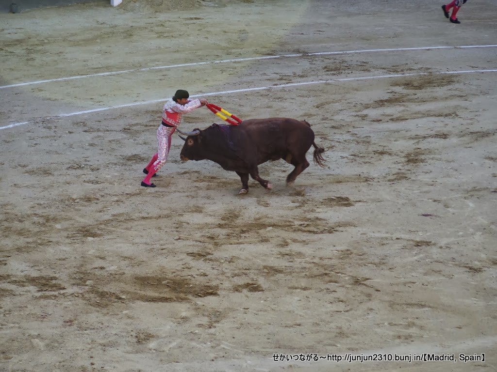 スペイン マドリード 二度と見たくないと思った闘牛とは せかいつながる