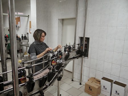 Vin de Bostavan: Linie imbuteliere vinuri