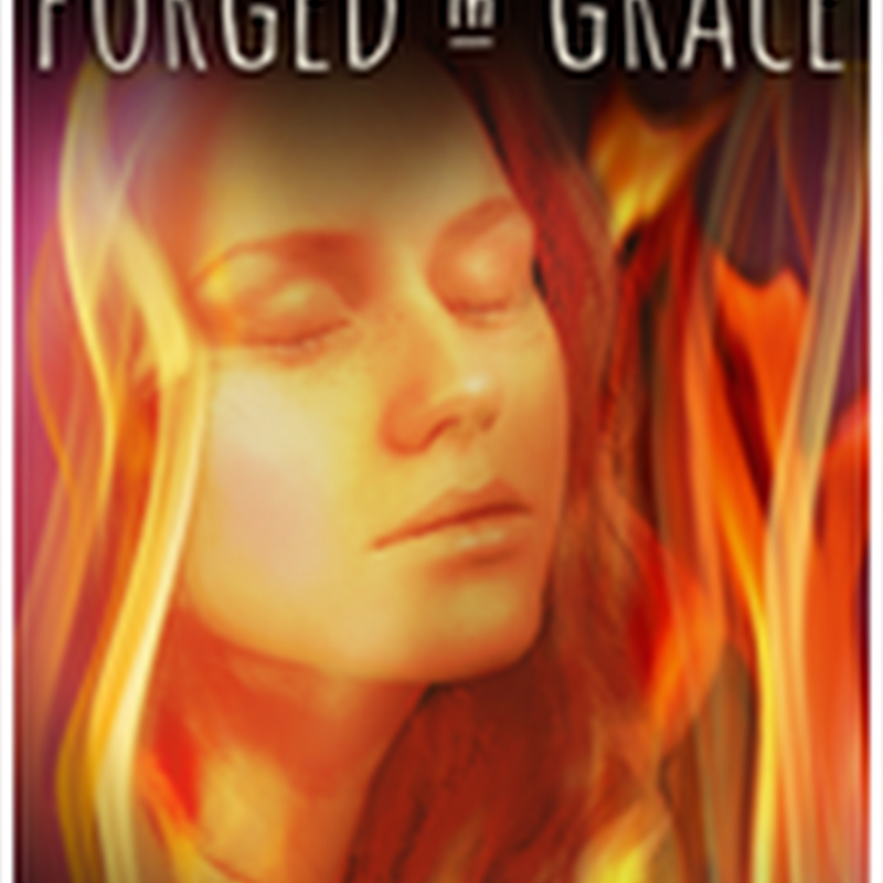 Orangeberry Book Of The Day - Forged in Grace by Jordan Rosenfeld (Excerpt)