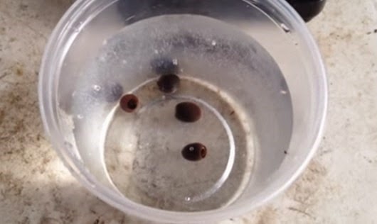 [clip_image006%255B4%255D.jpg]