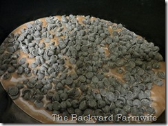 Mexican mocha molten lava cake - The Backyard Farmwife