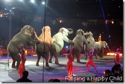 Aug20_Circus2 Aug20_Circus2