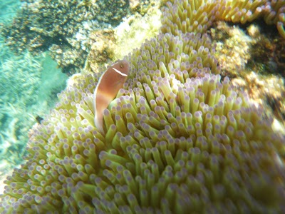 P1050320.JPG