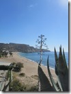IMG_6289 IMG_6289