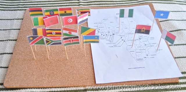 Africa Continent Flags