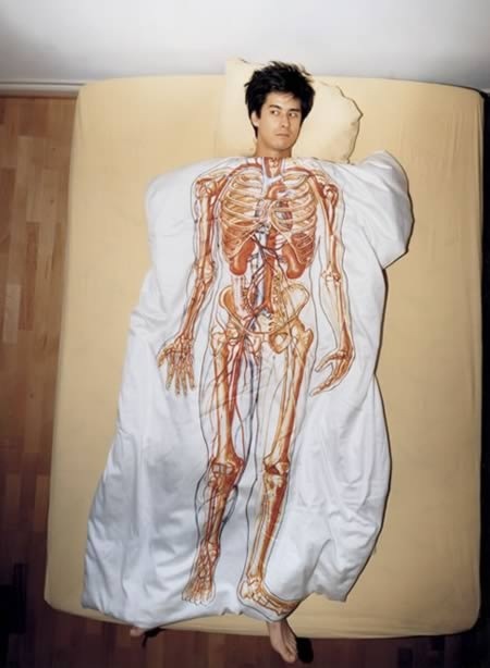 a98454_bedding_10-anatomic