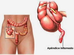 appendix-3