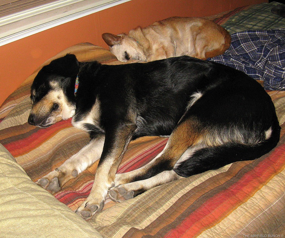 [IMG_3033%255B4%255D.jpg]