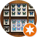 Nathaniel L.,AutoDir