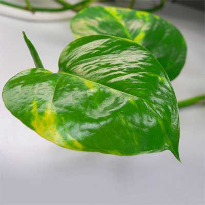 [image%255B17%255D.png]