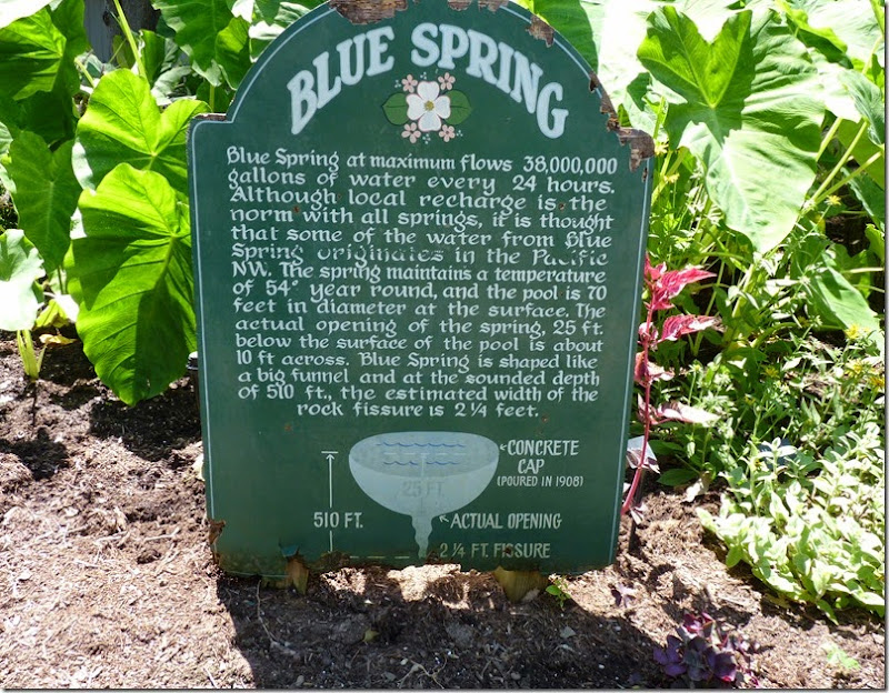 Blue Springs AR