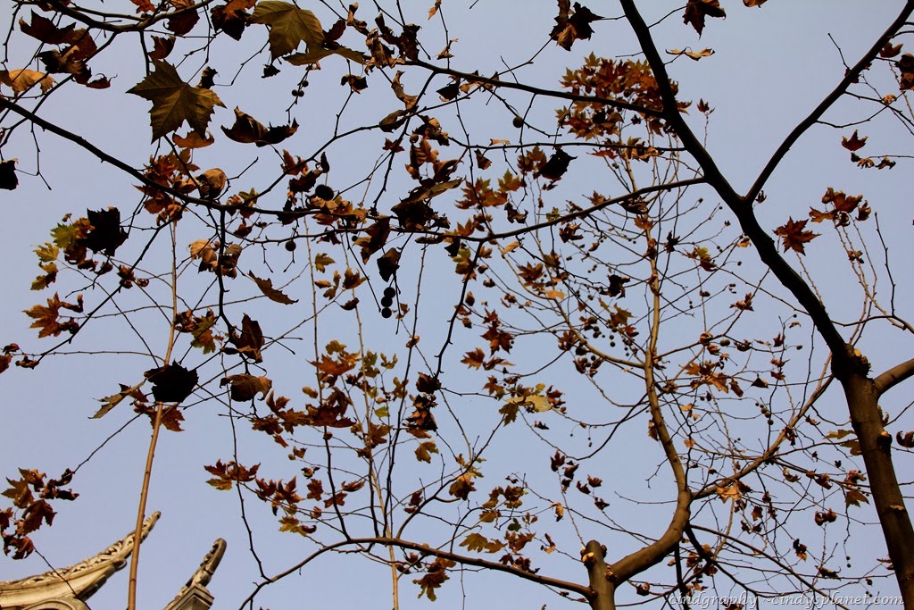 [Chengdu473.jpg.webp]