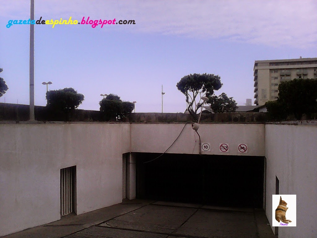 [Gazeta%2520de%2520Espinho008-20150323%255B3%255D.jpg]