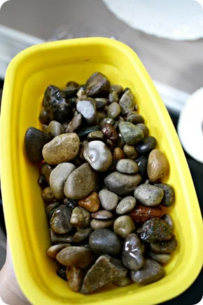 rocks for terrarium