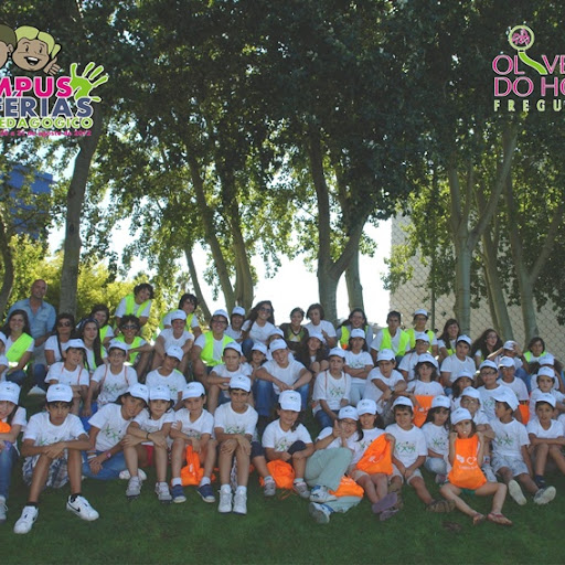 Freguesia de Oliveira do Hospital promoveu Campus de Férias Pedagógico
