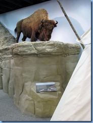 1775 Alberta corner Hwy 4 South & Hwy 501 East - Milk River Visitor Centre - display inside Head-Smashed-In Buffalo Jump Provincial Park