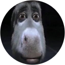 Bruh Moment profile picture